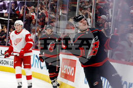 Red Wings Hurricanes Hockey