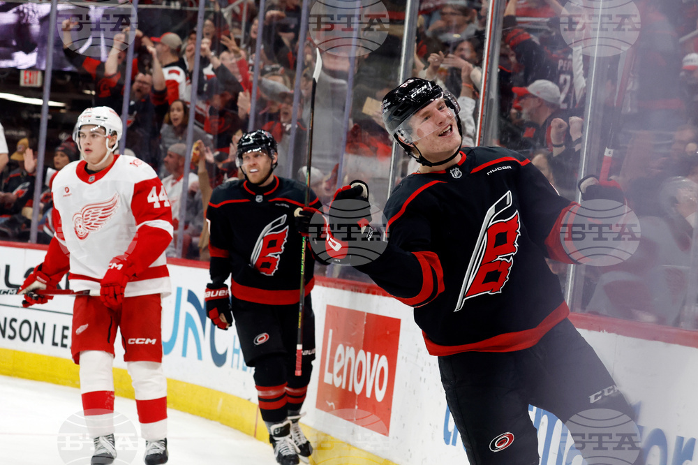 Red Wings Hurricanes Hockey