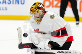 Senators Maple Leafs Hockey