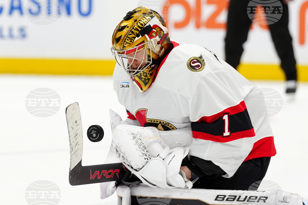 Senators Maple Leafs Hockey