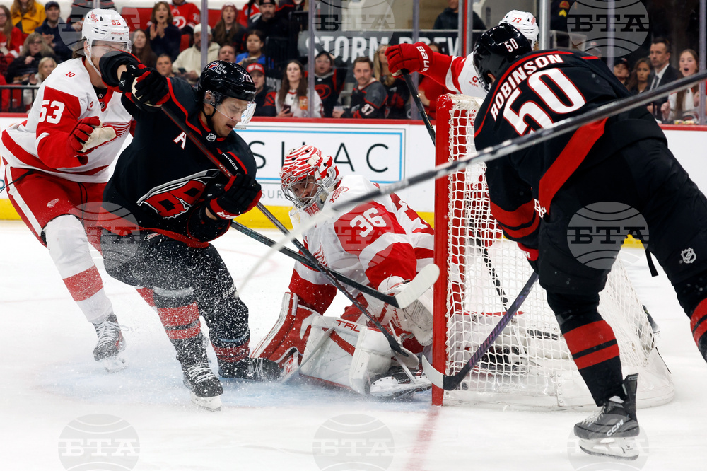 Red Wings Hurricanes Hockey