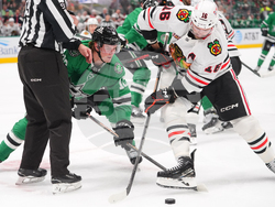 Blackhawks Stars Hockey