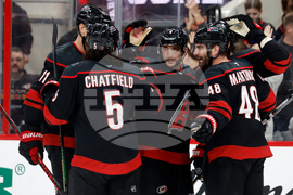 Red Wings Hurricanes Hockey