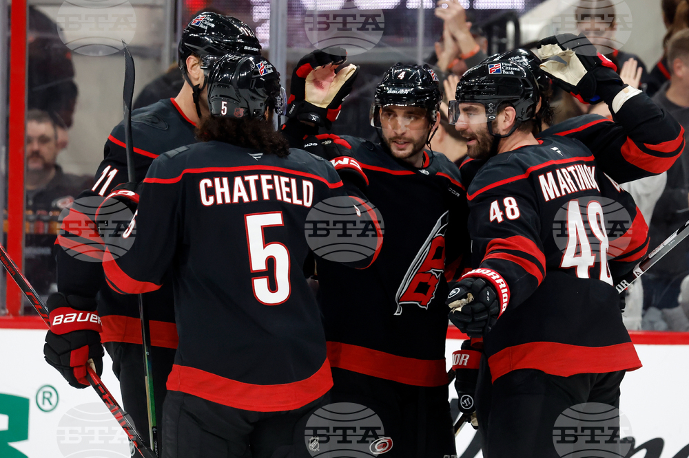 Red Wings Hurricanes Hockey