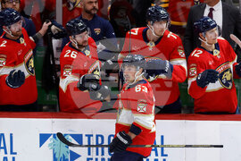 Lightning Panthers Hockey