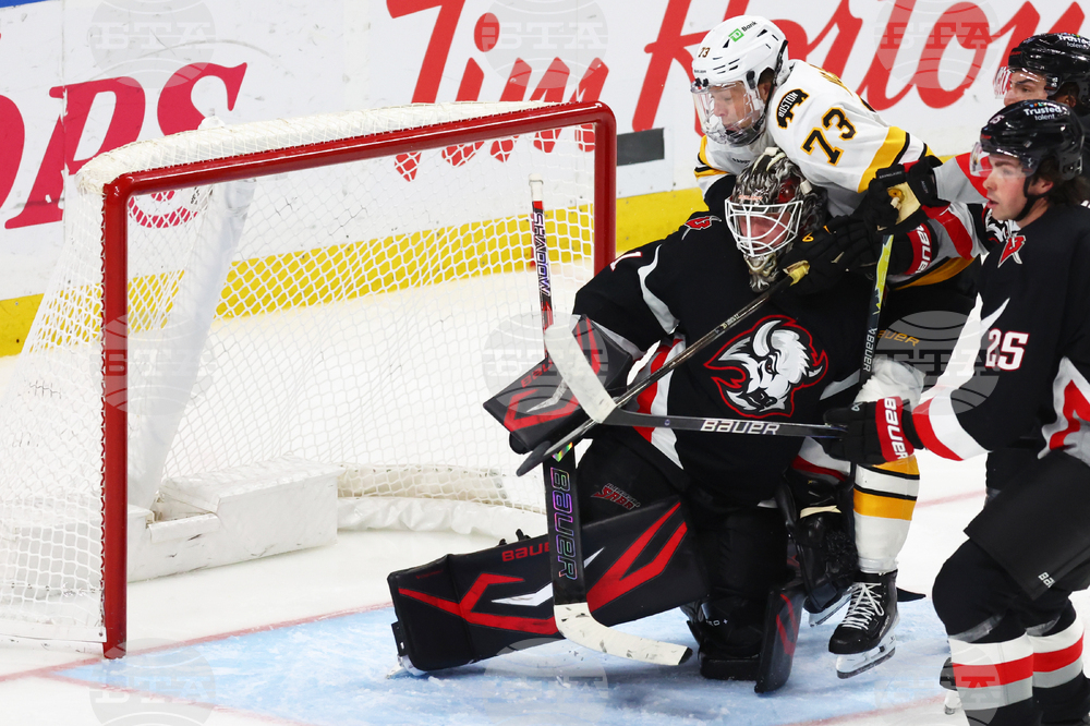 Bruins Sabres Hockey