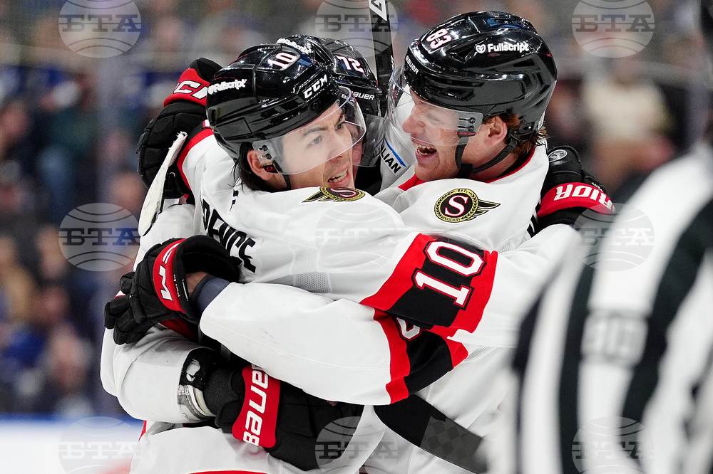 Senators Maple Leafs Hockey