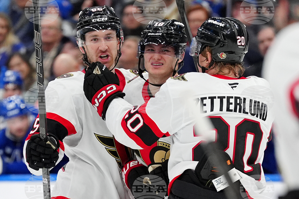 Senators Maple Leafs Hockey