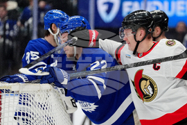 Senators Maple Leafs Hockey