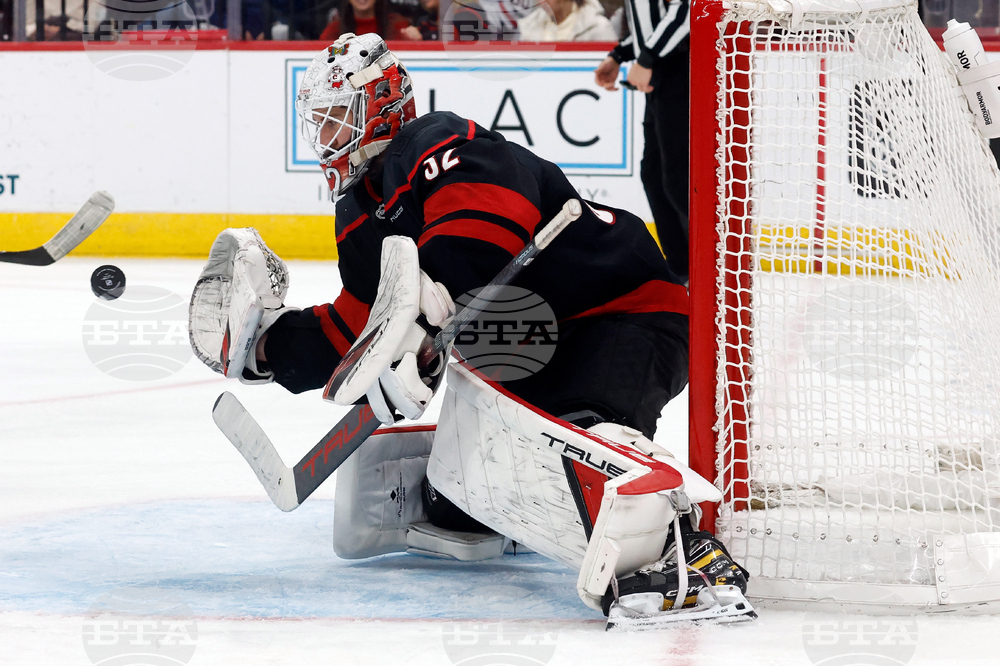 Red Wings Hurricanes Hockey