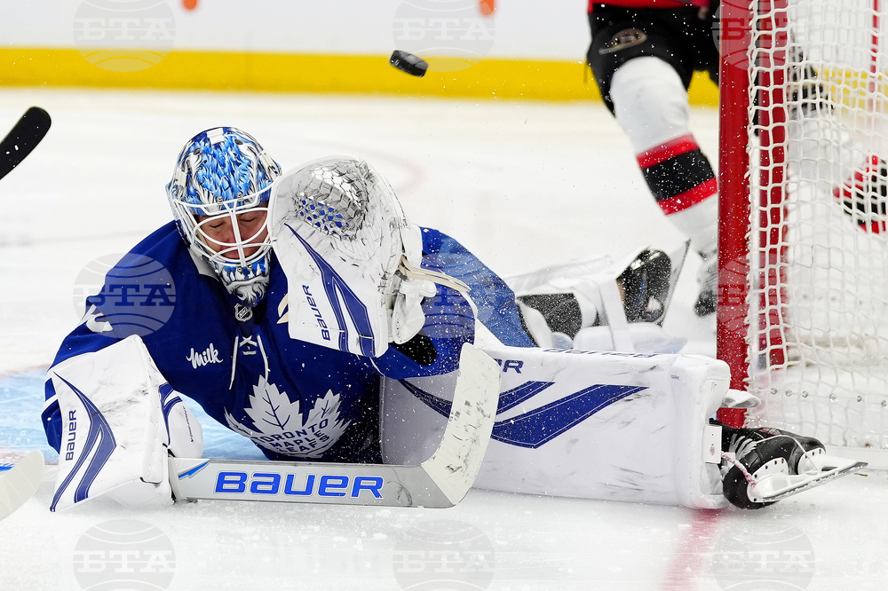 Senators Maple Leafs Hockey