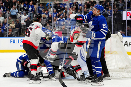 Senators Maple Leafs Hockey