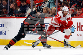 Red Wings Hurricanes Hockey