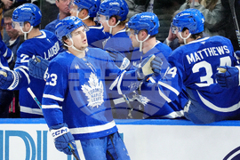 Senators Maple Leafs Hockey