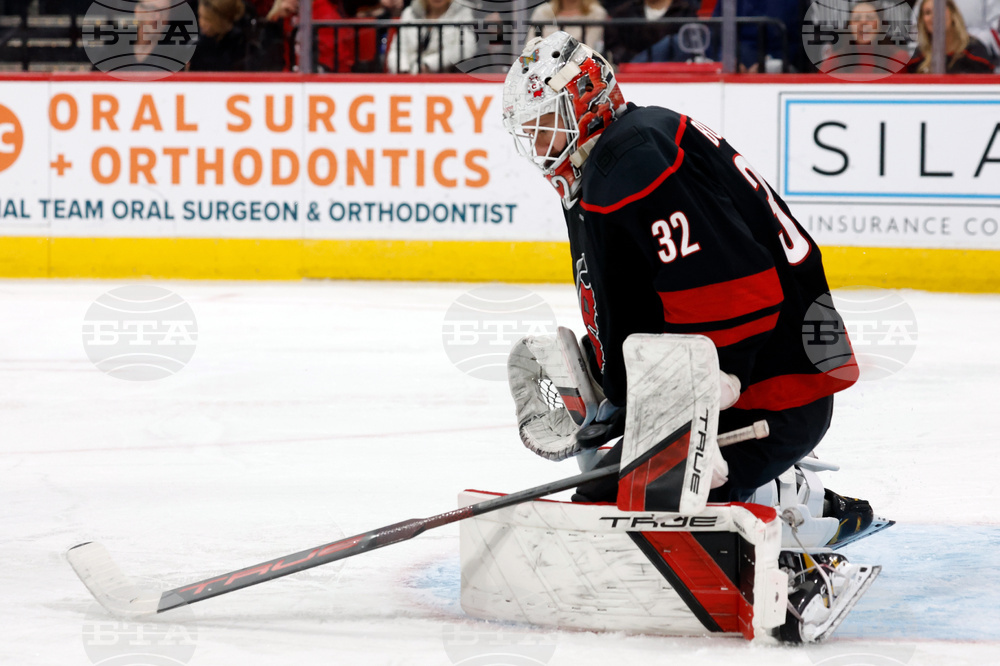 Red Wings Hurricanes Hockey