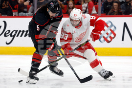 Red Wings Hurricanes Hockey