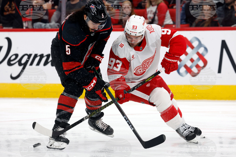 Red Wings Hurricanes Hockey