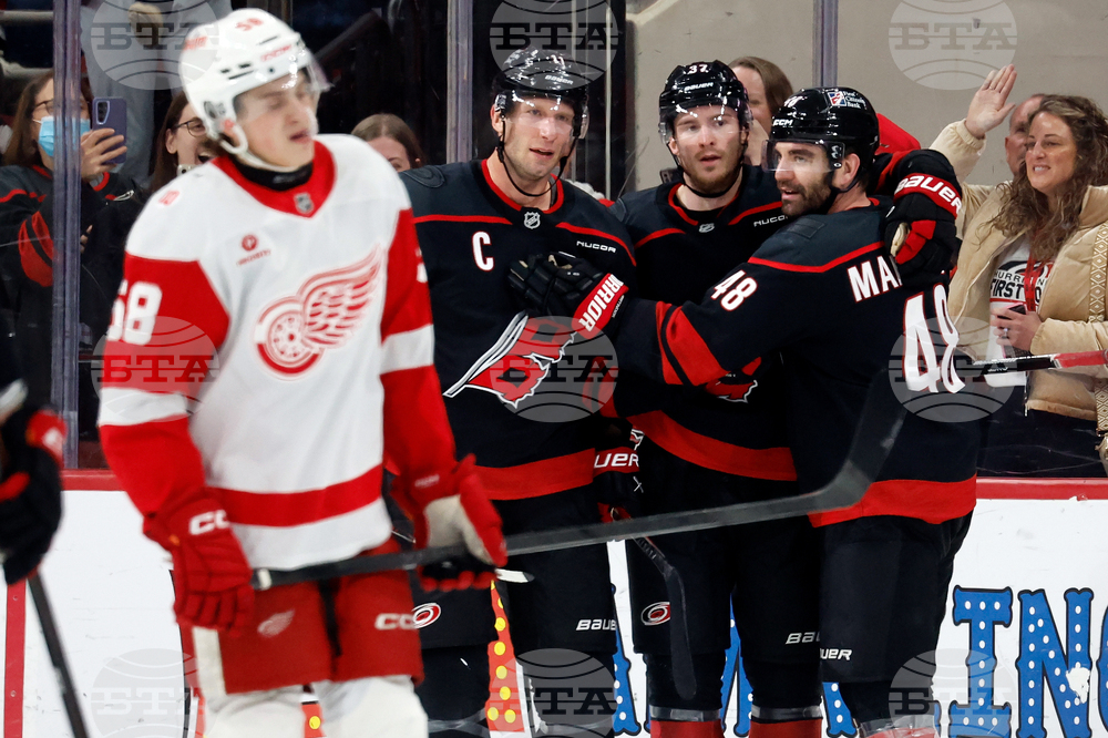 Red Wings Hurricanes Hockey