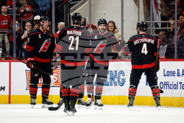 Red Wings Hurricanes Hockey