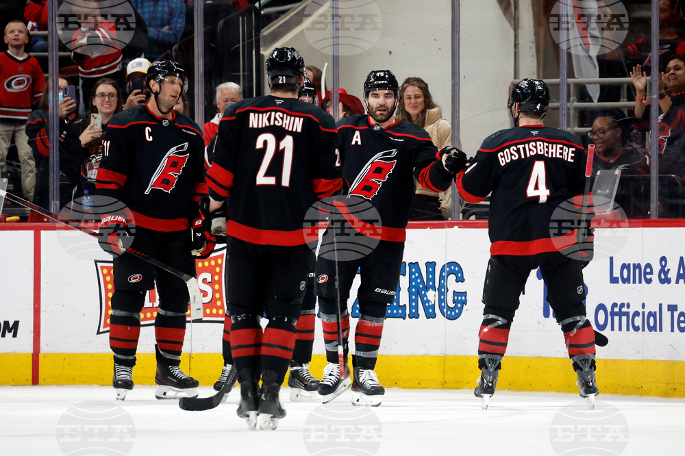 Red Wings Hurricanes Hockey