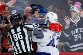 Lightning Panthers Hockey