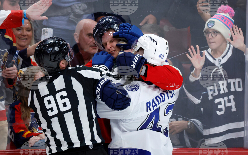 Lightning Panthers Hockey