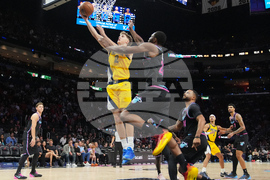 Pacers Heat Basketball