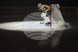 Avalanche Golden Knights Hockey