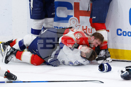 Lightning Panthers Hockey