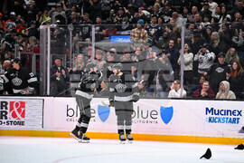 Ducks Kings Hockey