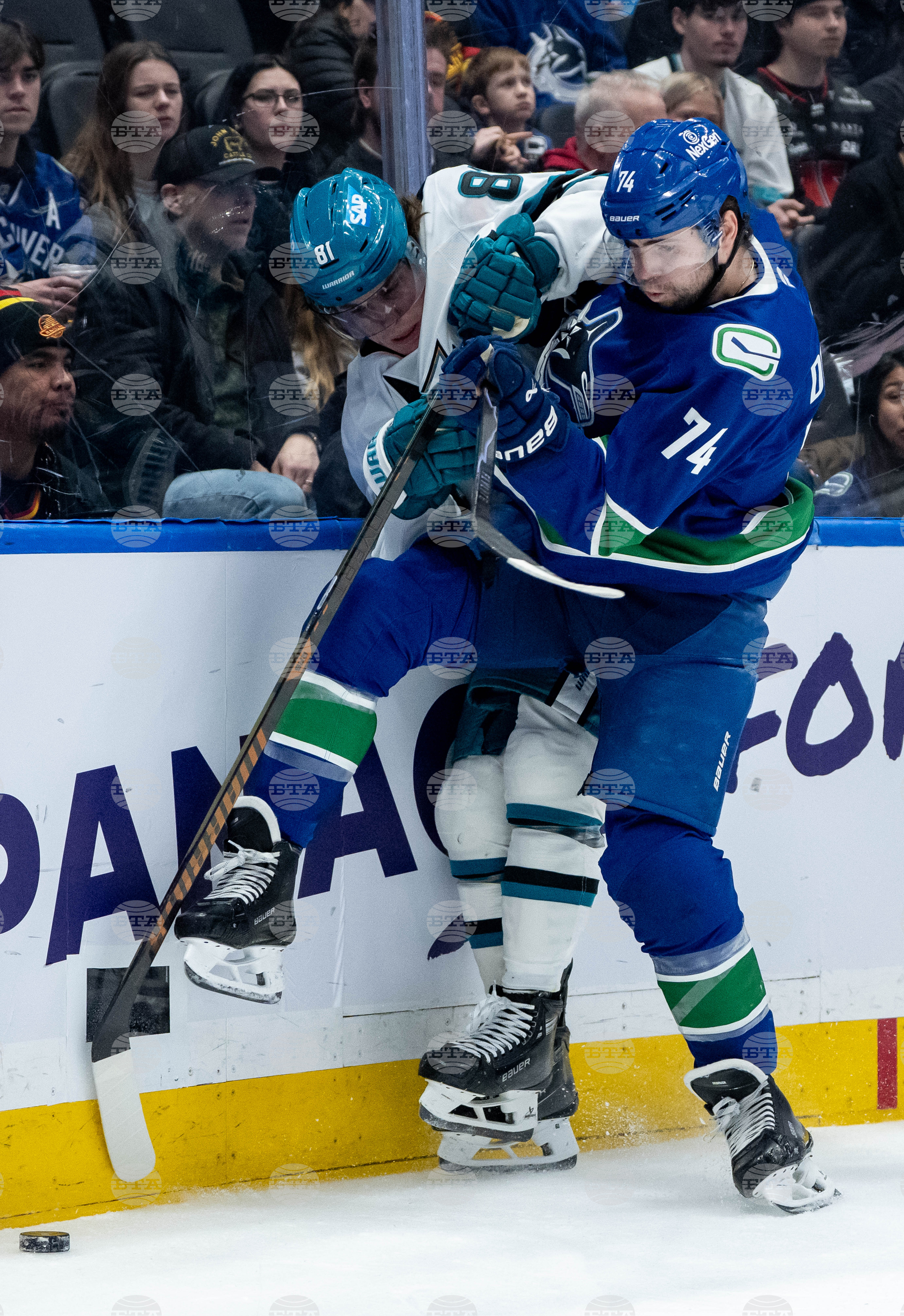 Sharks Canucks Hockey