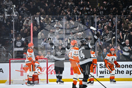 Ducks Kings Hockey