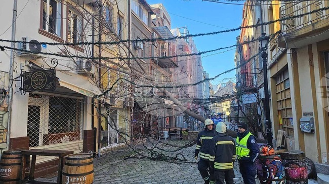 Близо 20 сигнала за паднали дървета и клони, и материални щети по автомобили са получени в РДПБЗН - Пловдив