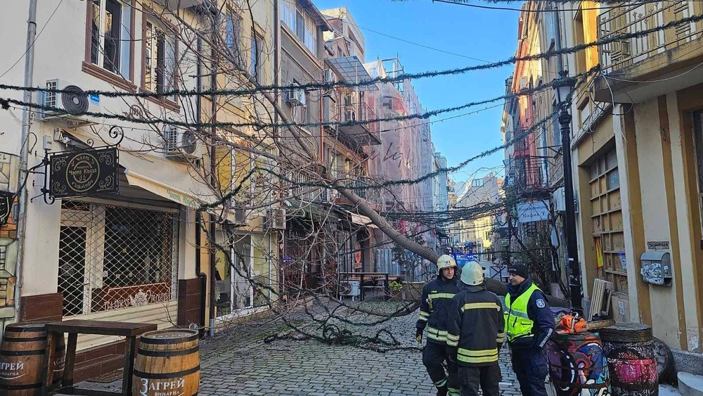  Близо 20 сигнала за паднали дървета и клони, и материални щети по автомобили са получени в РДПБЗН - Пловдив