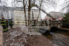 Germany Surfers Disappointed