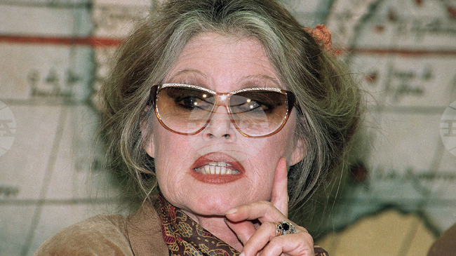  Брижит Бардо е вдъхновение за музиканти, посветили й песни