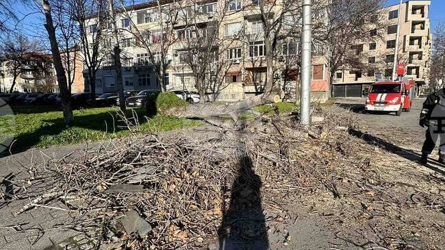 Пътят от Крумово към Асеновградско шосе е освободен, след като е паднало дърво, съобщиха от община "Родопи"