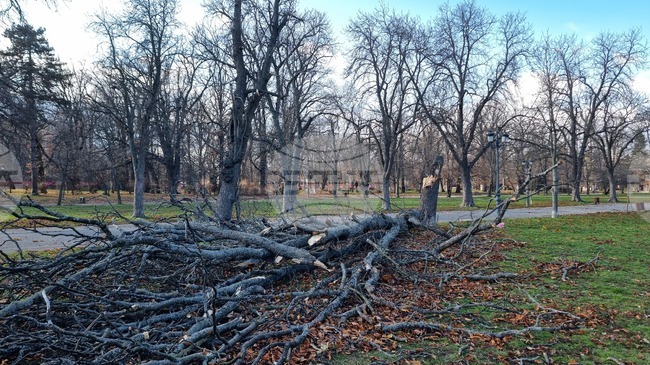 На общо 159 сигнала в цялата страна са реагирали екипите на пожарната заради силния вятър