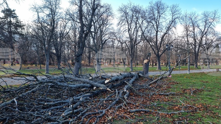 За времето от 00 00 ч до 17 45 ч днес екипите
