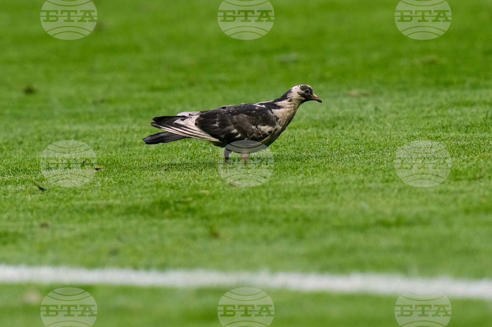 APTOPIX Italy Serie A Soccer