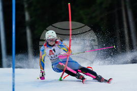 Austria World Cup Alpine Skiing