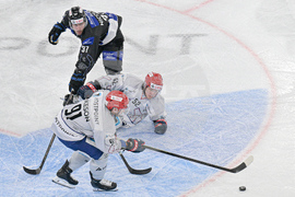 Switzerland Spengler Cup Hockey