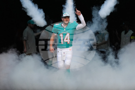 Buccaneers Dolphins Football