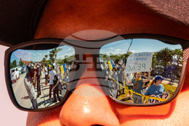 Trump Zelenskyy Florida