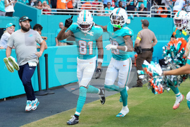 Buccaneers Dolphins Football