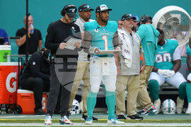 Buccaneers Dolphins Football
