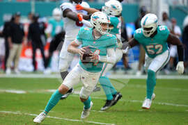 Buccaneers Dolphins Football