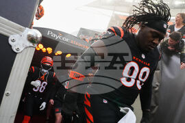 Cardinals Bengals Football