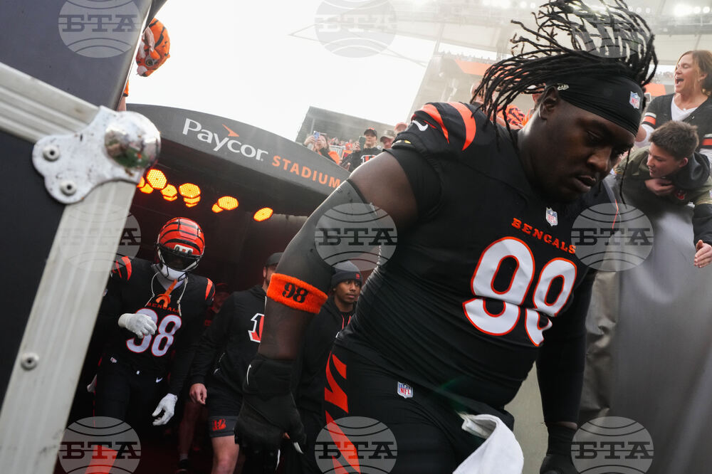 Cardinals Bengals Football