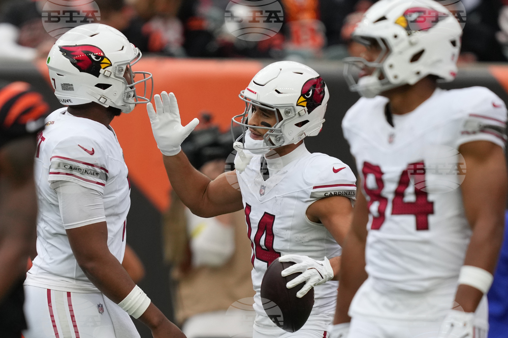 Cardinals Bengals Football
